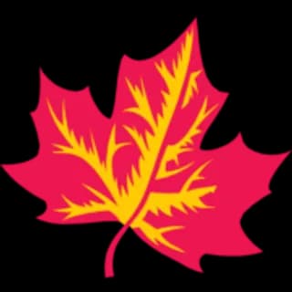 Calgary Dance Stampede logo