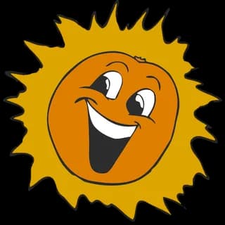 Orange Blossom Dance Festival logo